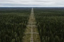 Kraftledningar och stamnät i skogslandskap under molnig himmel