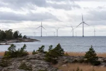 Naturmiljö i närheten av vindkraft