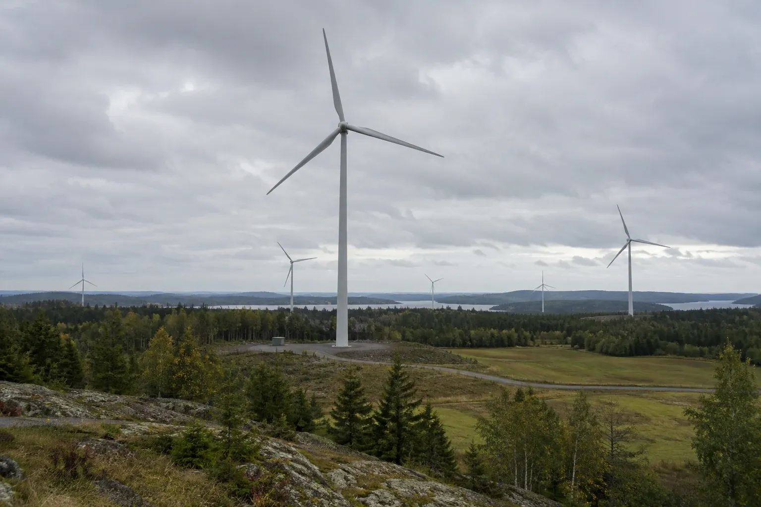 Naturmiljö i närheten av vindkraft