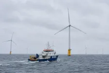 Internationell havsbaserad vindkraft